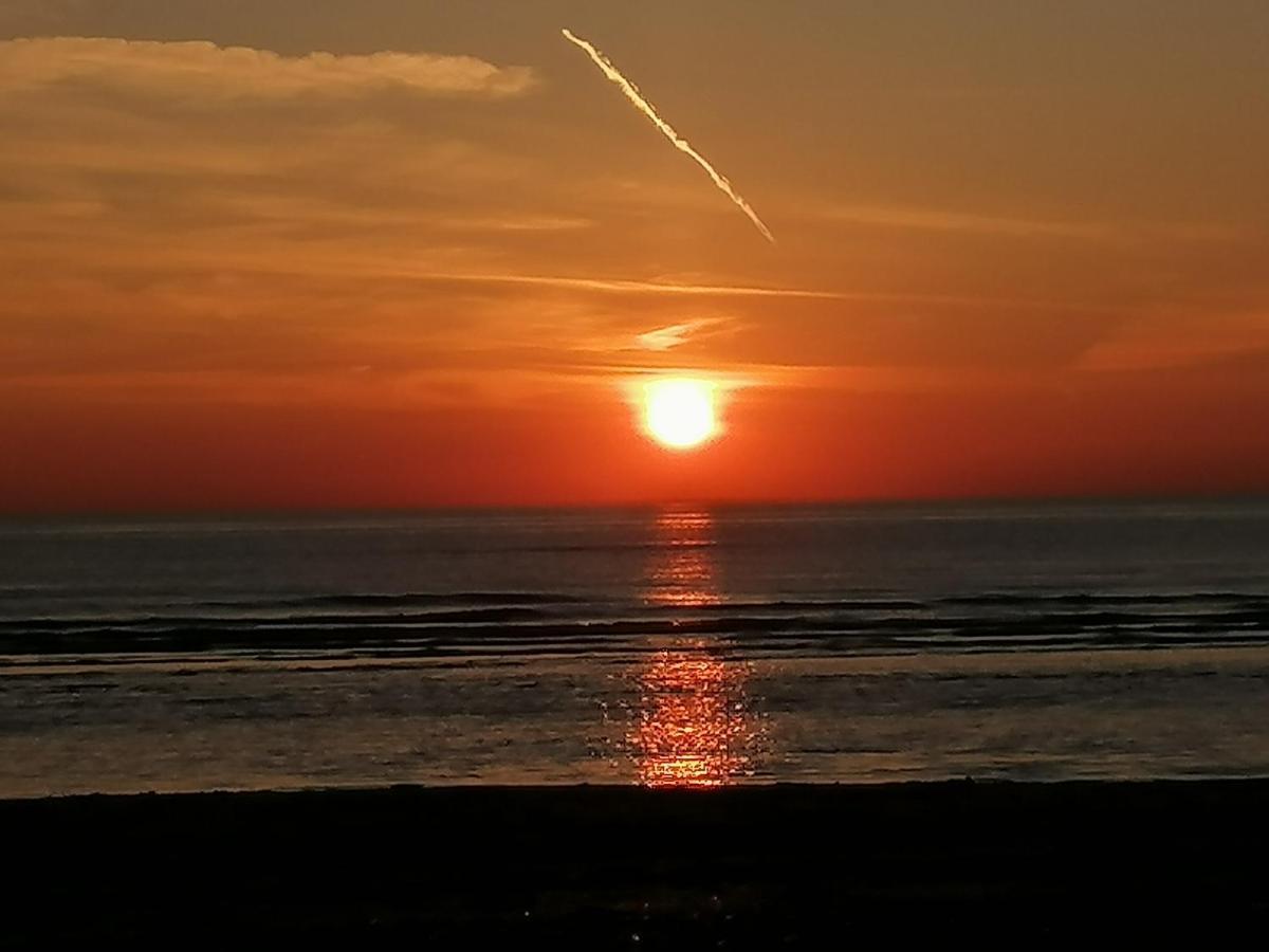 Pension Schier Zandvoort Dış mekan fotoğraf