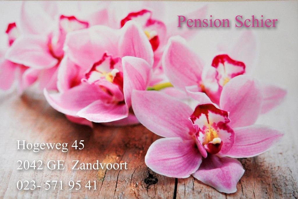 Pension Schier Zandvoort Dış mekan fotoğraf