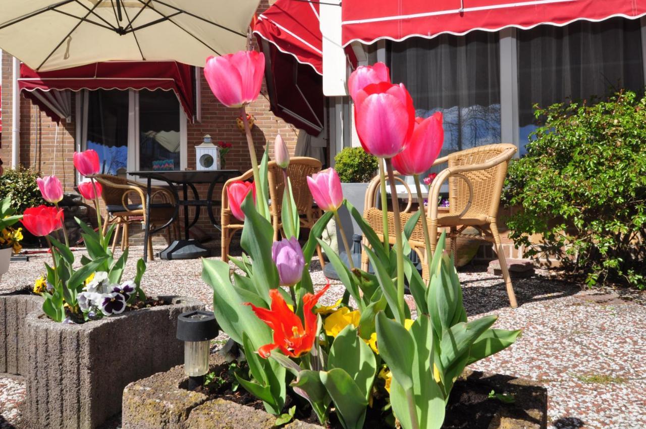 Pension Schier Zandvoort Dış mekan fotoğraf